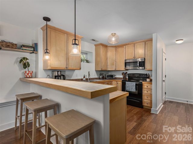 11 Knotty Alder Court, Candler, NC 28715