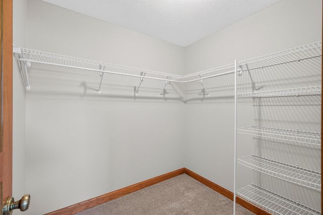 11224 Halstead Trail, Woodbury, MN 55129