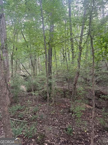 19.46 ACRES Tommy Lee Cook Road, Newnan, GA 30263