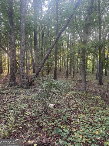 19.46 ACRES Tommy Lee Cook Road, Newnan, GA 30263