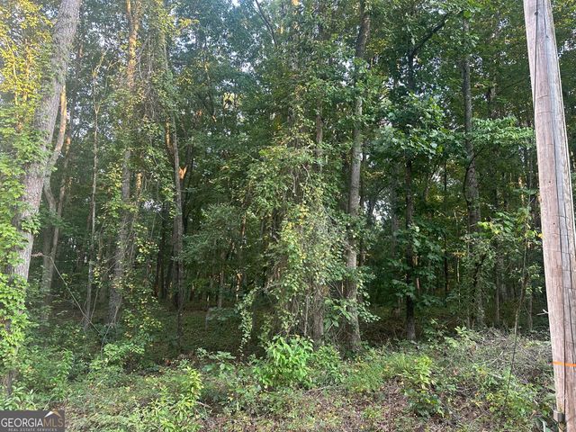 19.46 ACRES Tommy Lee Cook Road, Newnan, GA 30263
