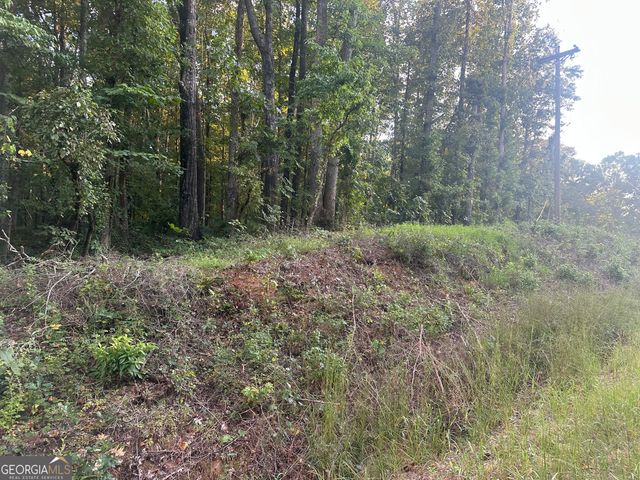 19.46 ACRES Tommy Lee Cook Road, Newnan, GA 30263