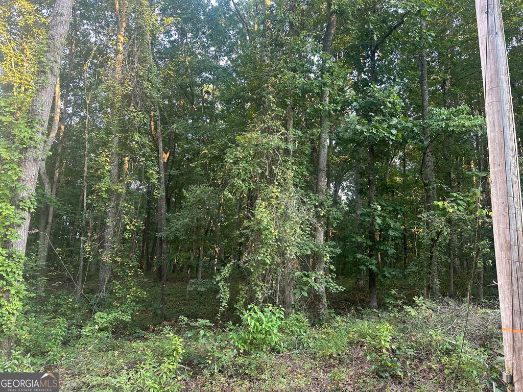 19.46 ACRES Tommy Lee Cook Road, Newnan, GA 30263 — photo 4