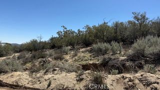 0 Bogota rd, Anza, CA 92539