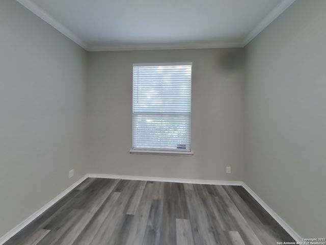 715 Celosia, San Antonio, TX 78245