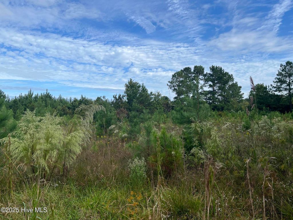 Tbd Rocky Run Road, Jacksonville, NC 28546