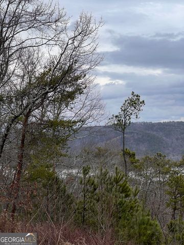 278 Carters Overlook Drive 28, Ranger, GA 30734