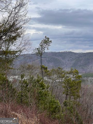278 Carters Overlook Drive 28, Ranger, GA 30734
