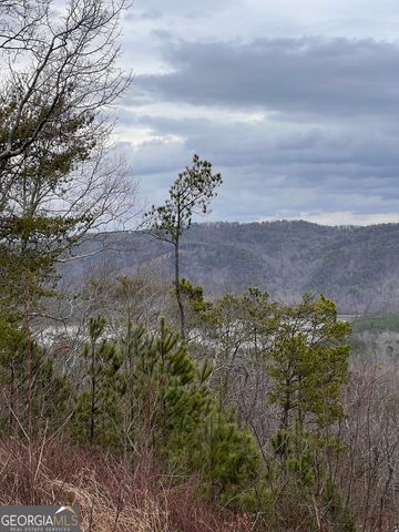 278 Carters Overlook Drive 28, Ranger, GA 30734