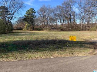 3202 7TH AVENUE N, Bessemer, AL 35020