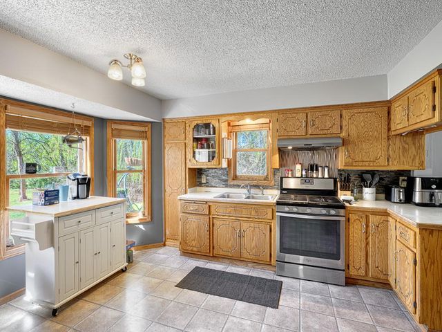 2695 196th Avenue NE, Cedar, MN 55011