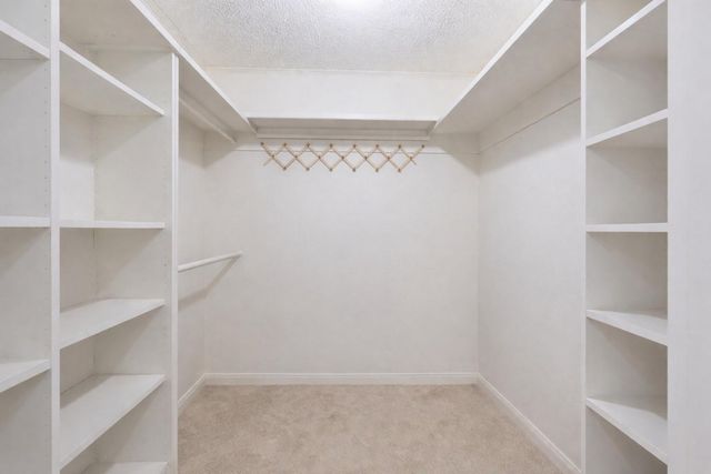 12411 Tall Forest Drive, Cypress, TX 77429