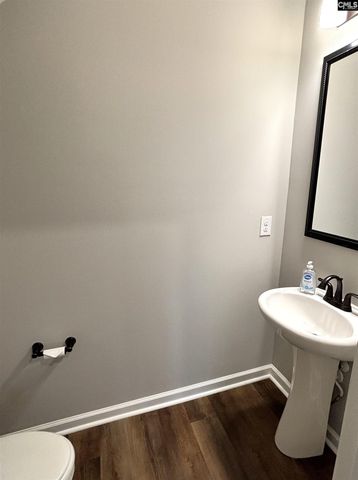 602 Frow Drive, Elgin, SC 29045