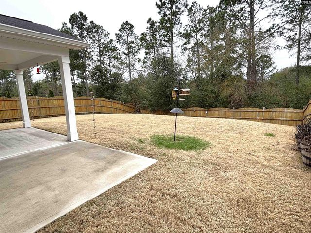 602 Frow Drive, Elgin, SC 29045