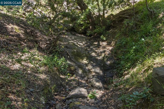 20 La Madronal, Orinda, CA 94563