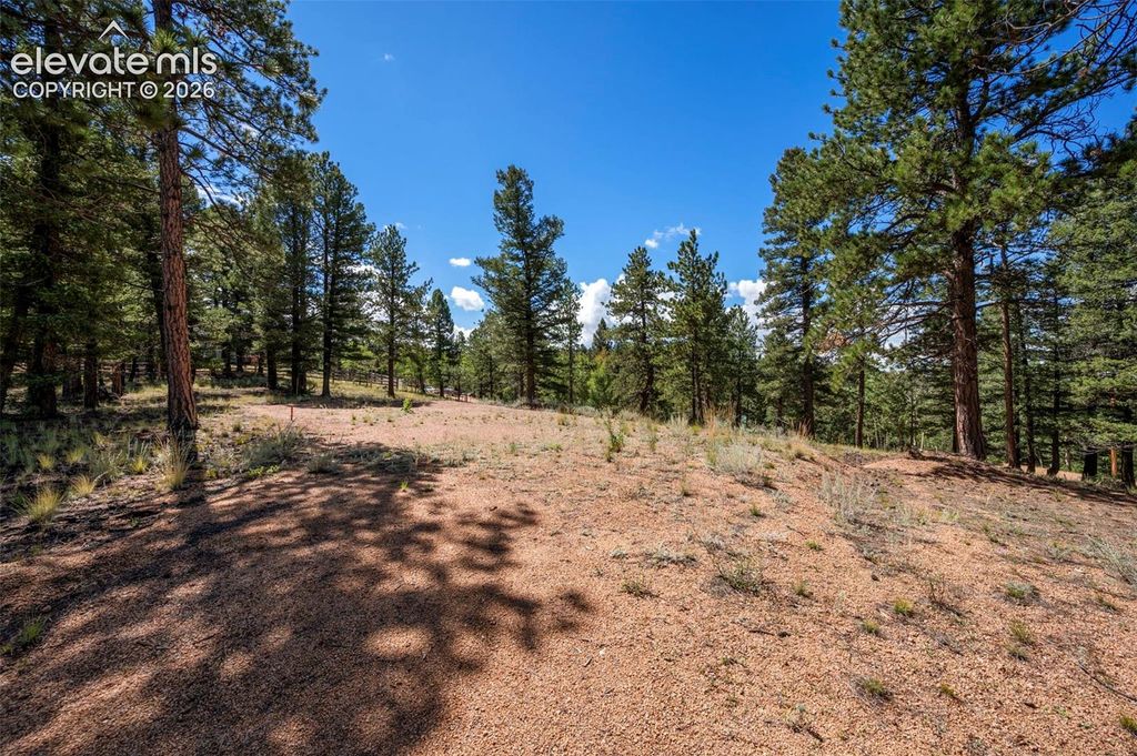 210 Donzi Trail, Florissant, CO 80816 — exterior