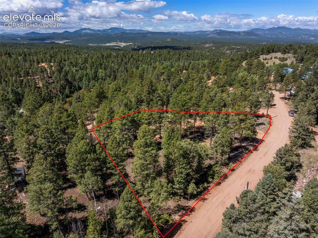 210 Donzi Trail, Florissant, CO 80816 — photo 2