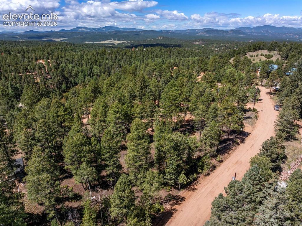 210 Donzi Trail, Florissant, CO 80816 — photo 3