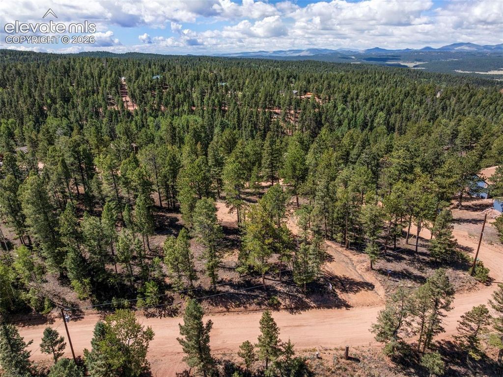 210 Donzi Trail, Florissant, CO 80816 — photo 4