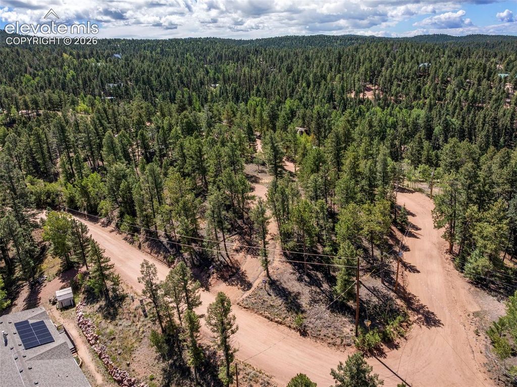 210 Donzi Trail, Florissant, CO 80816 — photo 5