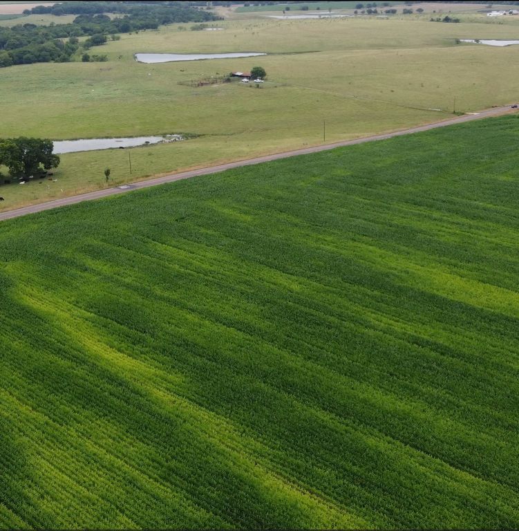 TBD FM 667, Italy, TX 76651