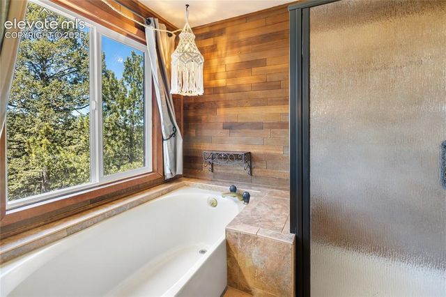 265 Homestead Road, Divide, CO 80814