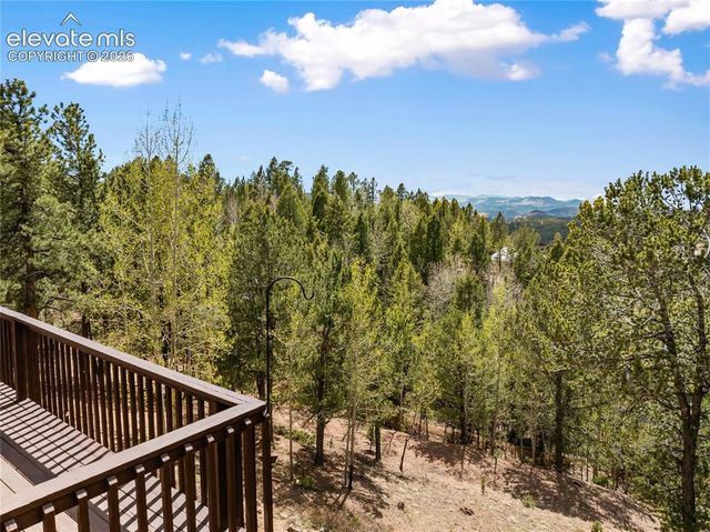 265 Homestead Road, Divide, CO 80814