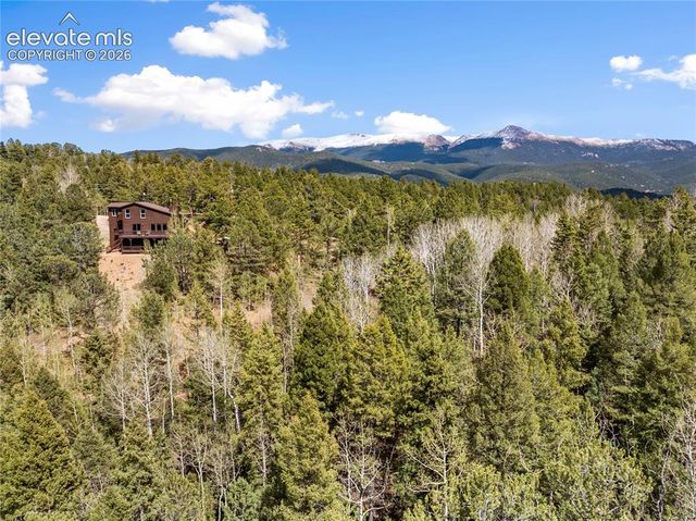 265 Homestead Road, Divide, CO 80814