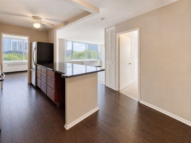 4250 N Marine Drive 716, Chicago, IL 60613
