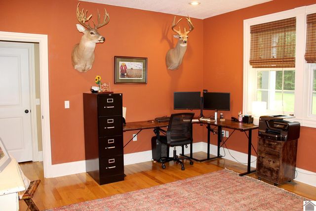 494 & 430 Beat Farmer Road, New Concord, KY 42076