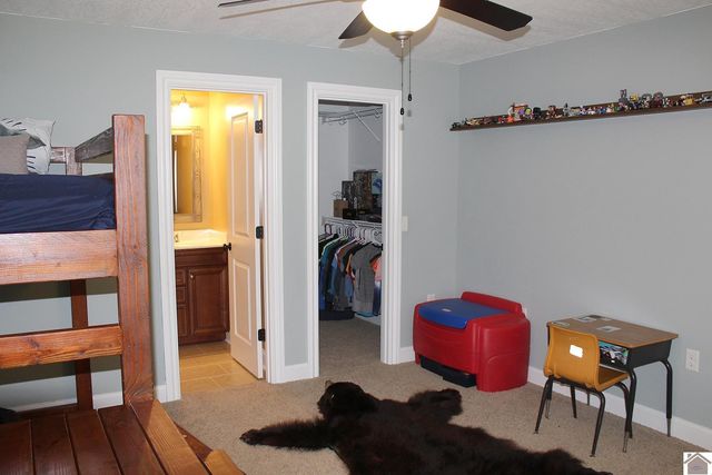 494 & 430 Beat Farmer Road, New Concord, KY 42076