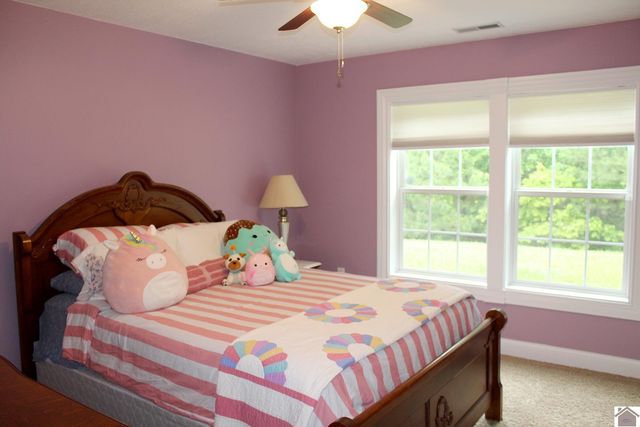 494 & 430 Beat Farmer Road, New Concord, KY 42076