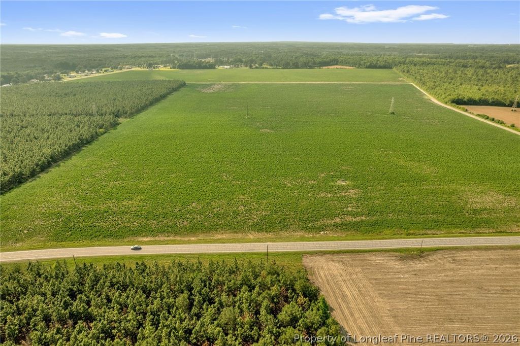 00 Old Wire (Lot 14) Road, Shannon, NC 28386 — photo 12