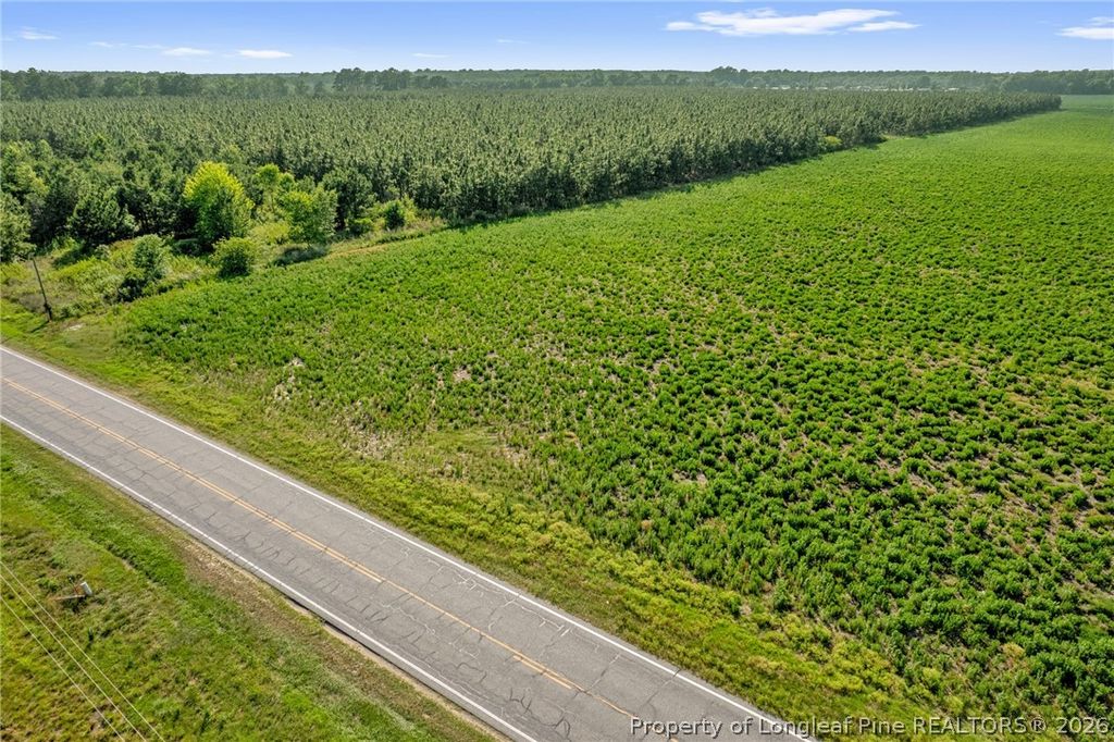 00 Old Wire (Lot 14) Road, Shannon, NC 28386 — photo 14