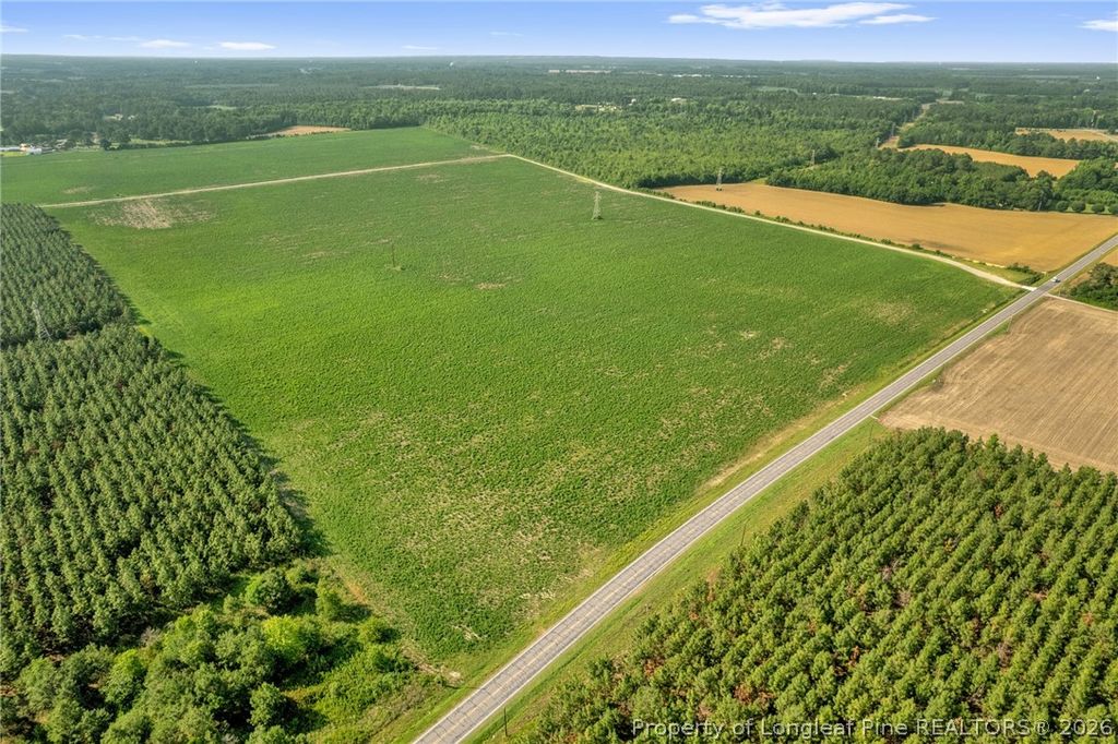 00 Old Wire (Lot 14) Road, Shannon, NC 28386 — photo 15