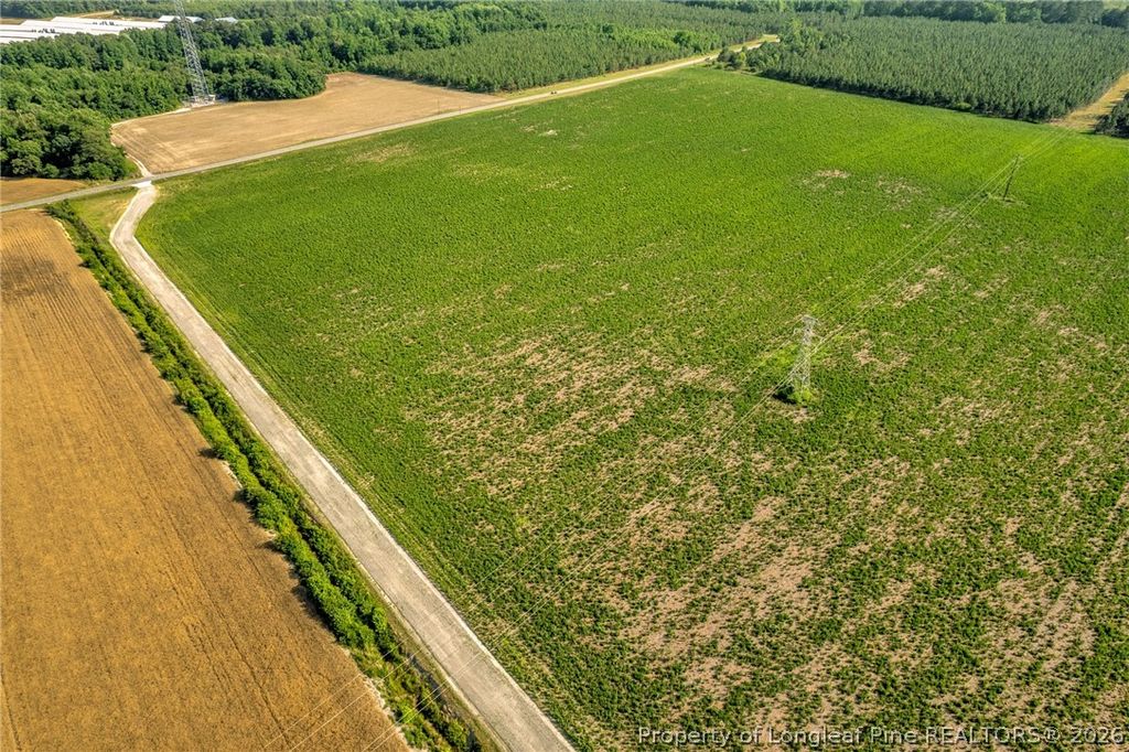 00 Old Wire (Lot 14) Road, Shannon, NC 28386 — photo 4