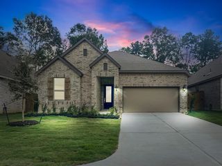 8282 Boundary Waters Dr, Porter, TX 77365