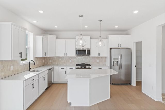 12397 Holden Way, Rogers, MN 55374