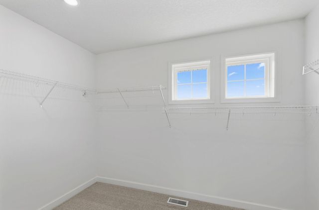 12397 Holden Way, Rogers, MN 55374