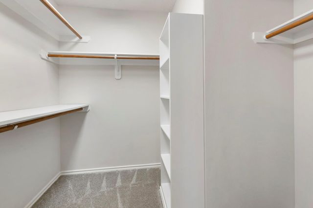 215 W Stedhill Loop, The Woodlands, TX 77384