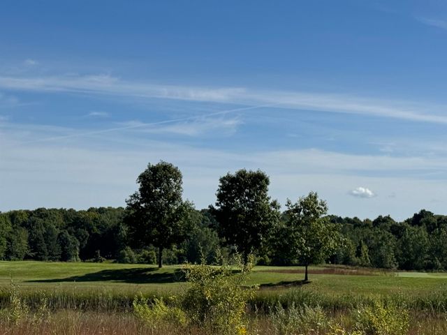 4829 Prestwick Court, Williamsburg, MI 49690