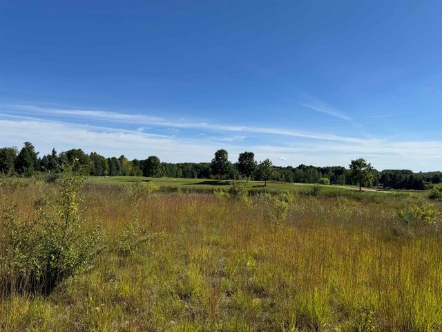 4829 Prestwick Court, Williamsburg, MI 49690