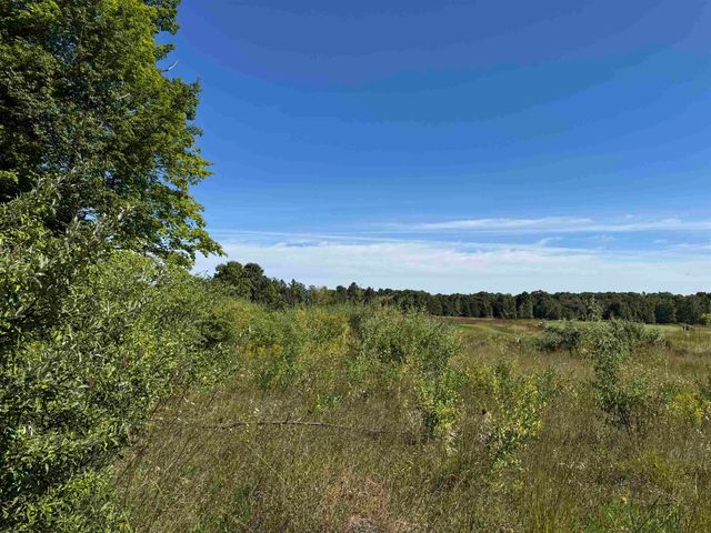 4829 Prestwick Court, Williamsburg, MI 49690