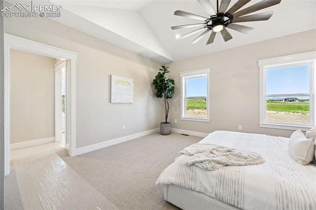 17110 Early Light Drive, Colorado Springs, CO 80908