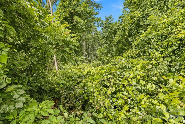 999 Perrion Avenue 18, Weaverville, NC 28787