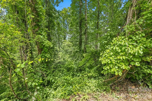 999 Perrion Avenue 18, Weaverville, NC 28787