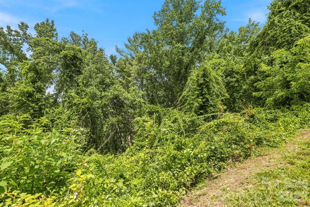 999 Perrion Avenue 18, Weaverville, NC 28787