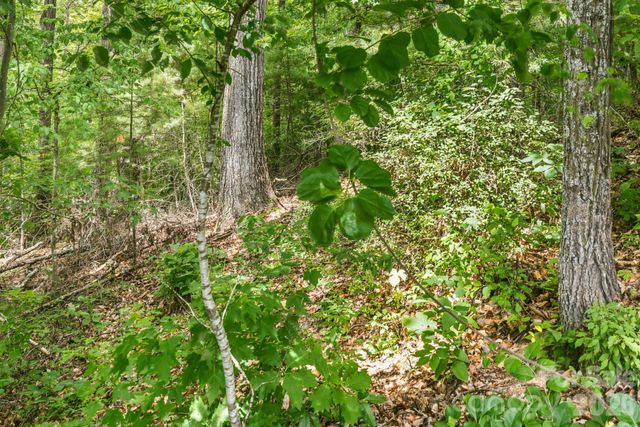 999 Perrion Avenue 18, Weaverville, NC 28787