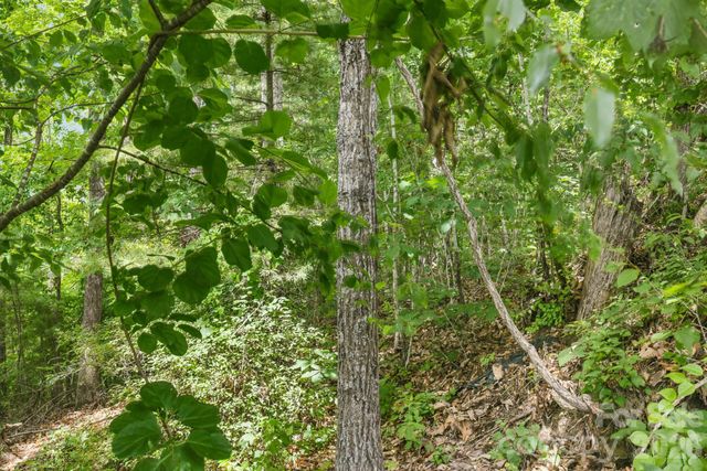 999 Perrion Avenue 18, Weaverville, NC 28787