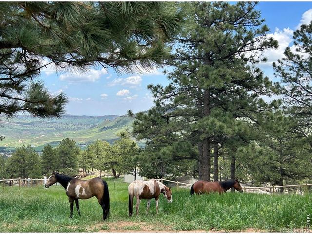 1893 Colard Lane, Lyons, CO 80540